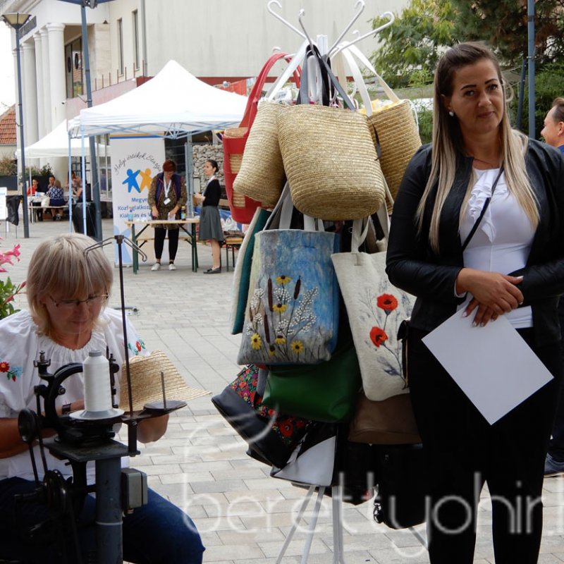 Helyi Értékek Startja 73